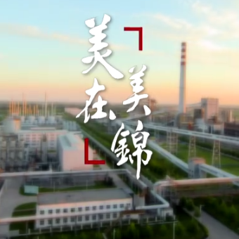 唐钢美锦煤化工